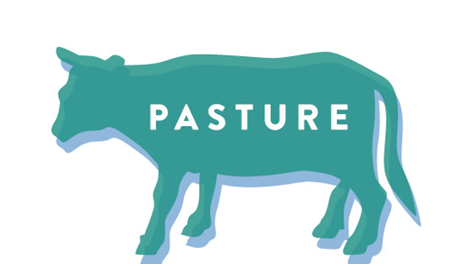 pasture